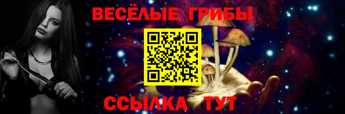 Сорочинск  Галлюциногенные грибы Magic Shrooms  Вход с VPN 